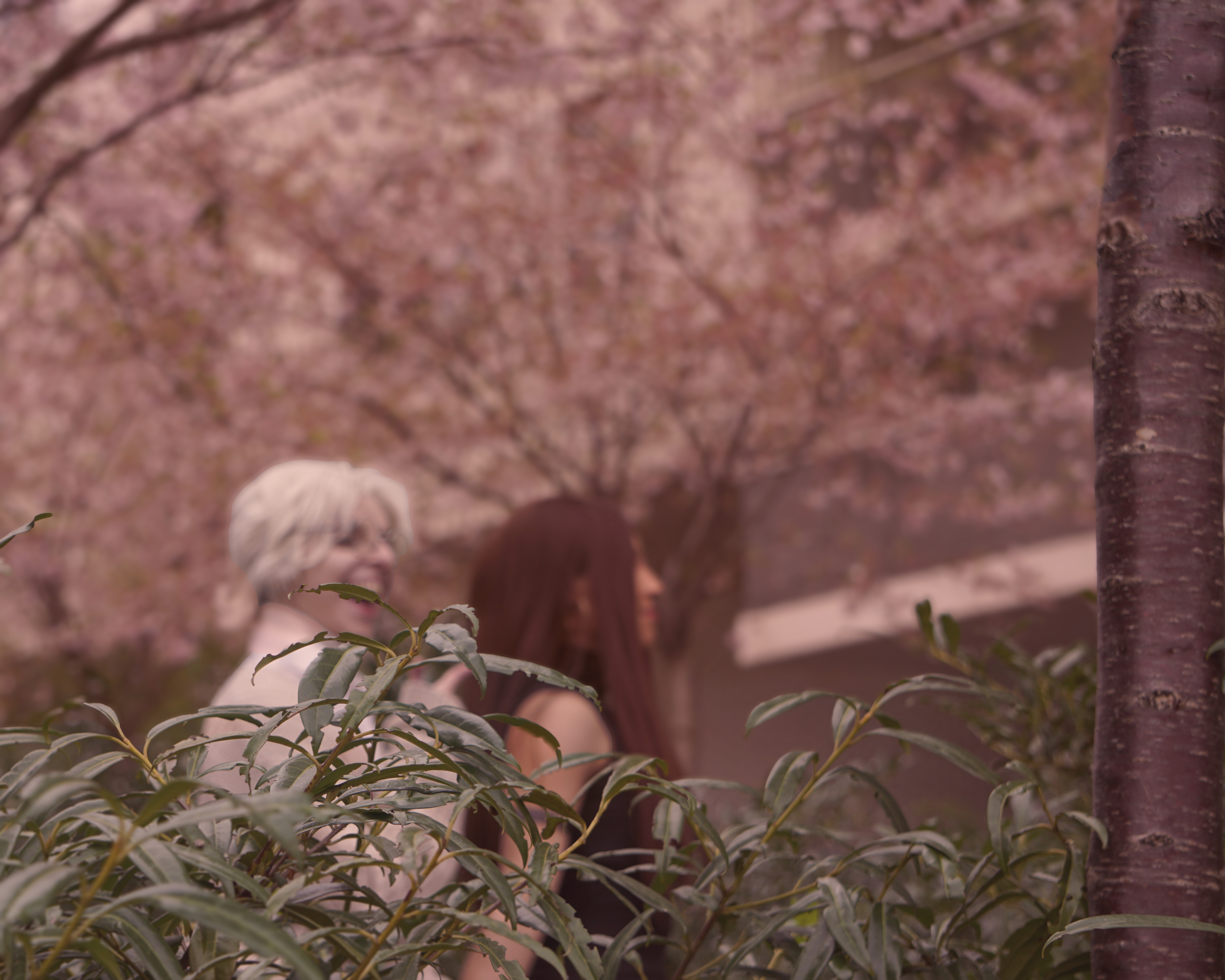 Photographie de portrait — exemple de prestation photo par Maëlle Vétois