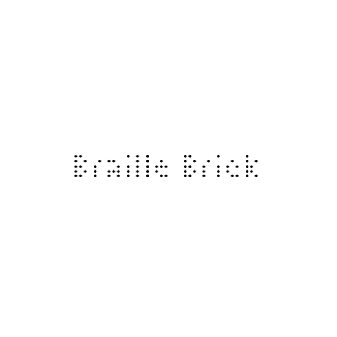 braille bricks